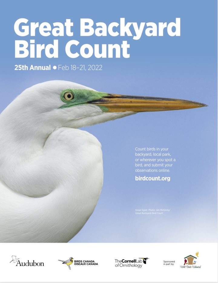 Posters – Great Backyard Bird Count